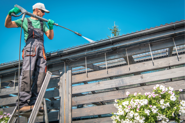 Florida-Specific Exterior Problems You Can Only Fix With Professional Washing