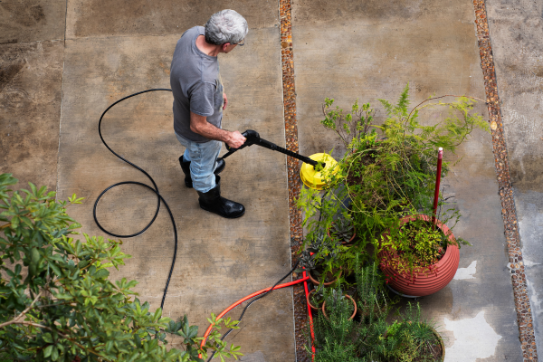 Why Homes in Forested Areas Need Specialized Soft Washing