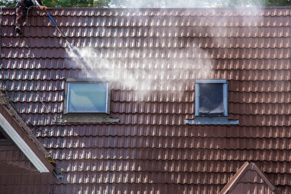 Why Reddick Homeowners Are Choosing Soft Wash Roof Cleaning Over Traditional Methods