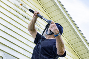 What Every Gainesville Homeowner Should Know About House Washing in Florida's Climate