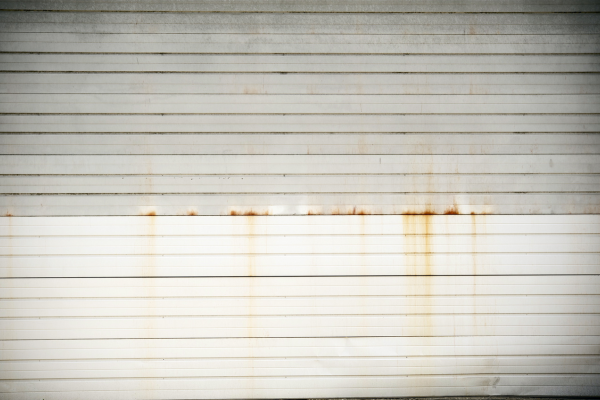 How Lovebug Season Silently Damages Home Exteriors Across Marion County