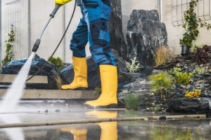 How to Protect Your Gainesville Home Before Pollen Season Hits